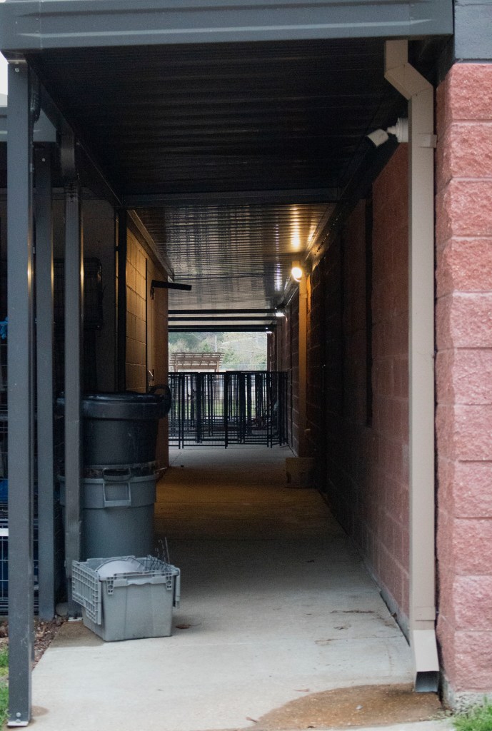 This image has an empty alt attribute; its file name is img_7815-3.jpg