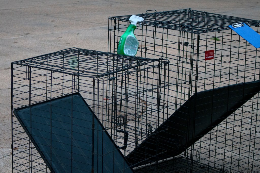 This image has an empty alt attribute; its file name is img_7815b-1.jpg