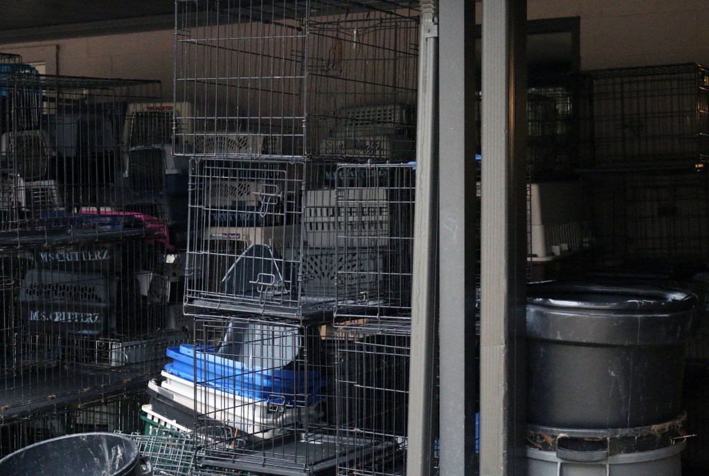 This image has an empty alt attribute; its file name is img_7825-1.jpg