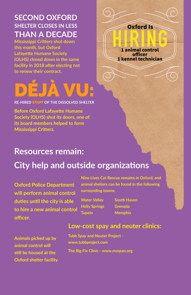 This image has an empty alt attribute; its file name is shelterinfographic-part-2.jpg